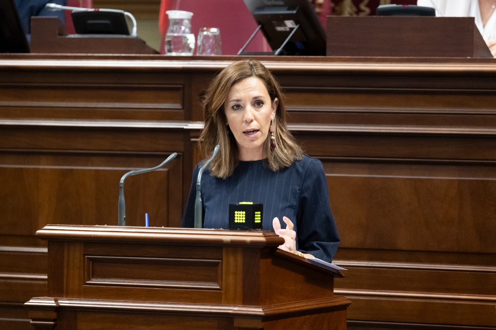 Pleno Parlamento 120526