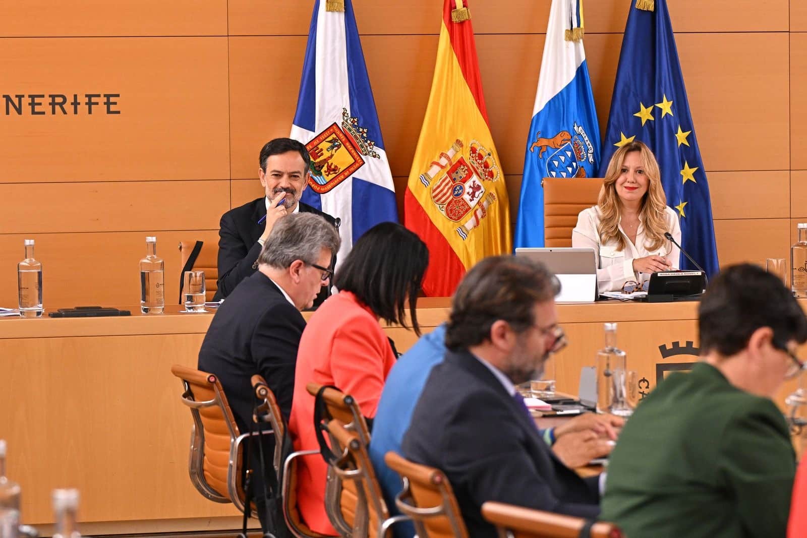 Pleno del Cabildo de Tenerife, 30 de abril de 2026