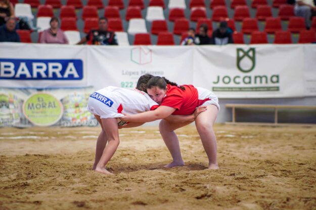 lucha canaria