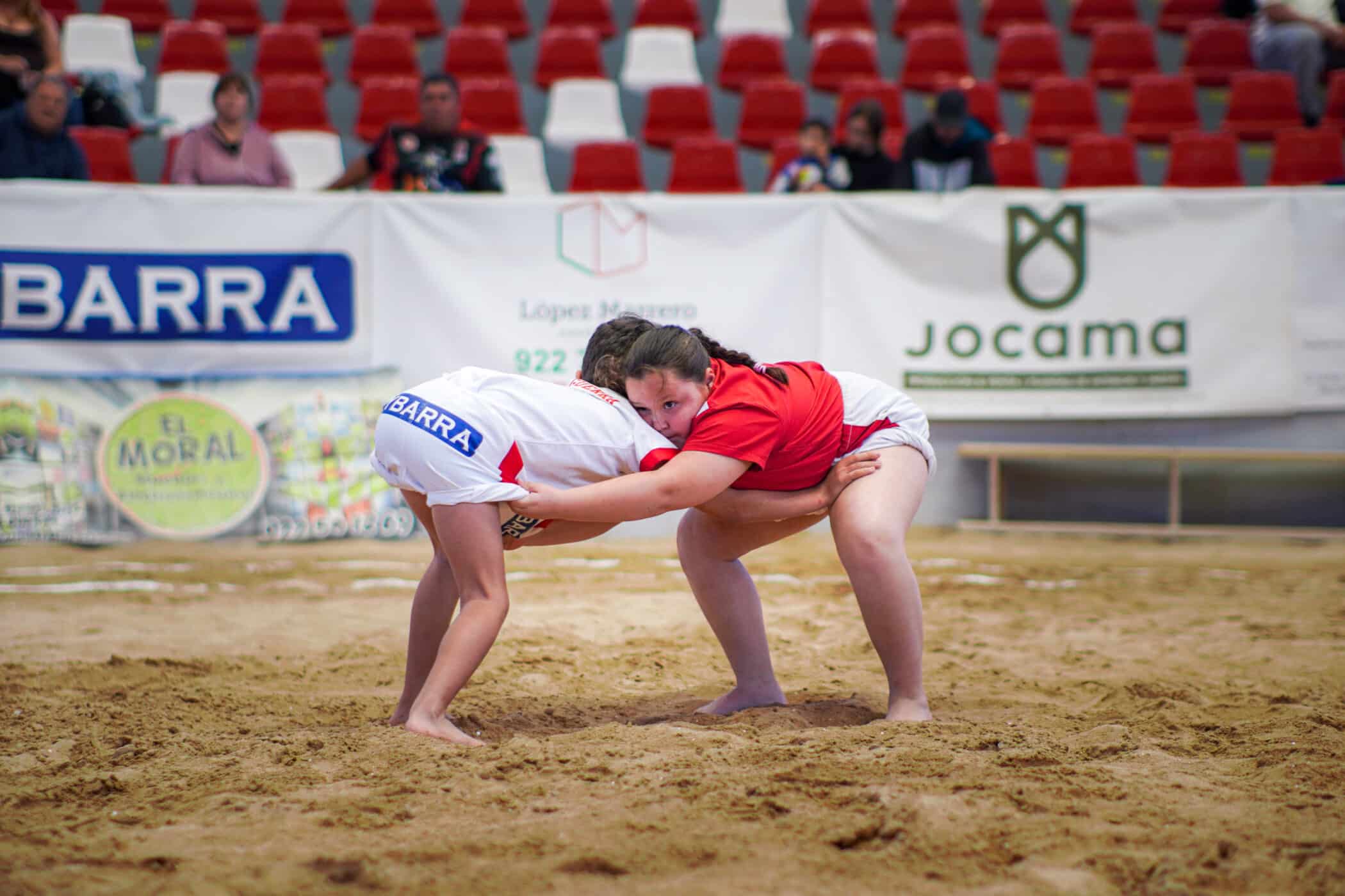 lucha canaria