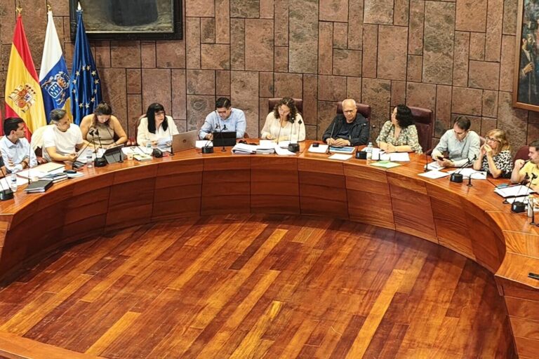 050626 Pleno del Cabildo de La Gomera