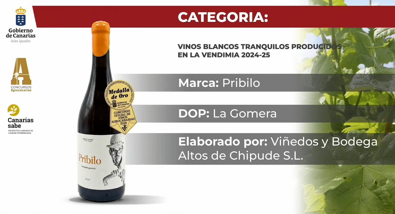 080626 Fallo del jurado y Medalla de Oro al vino Pribilo en el Concurso Agrocanarias de Vinos 2026