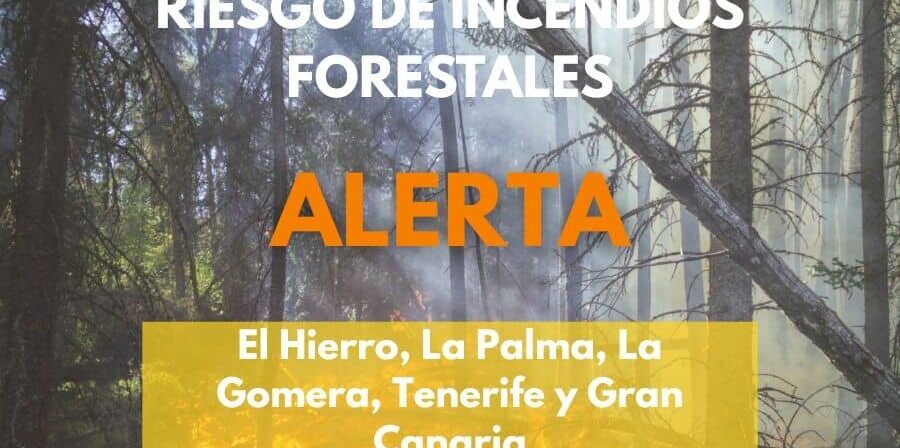 EL GOBIERNO ACTUALIZA A ALERTA POPR RIESGO DE INCENDIO FORESTAL A LA PROVINCIA OCCIDENTAL Y GRAN CANARIA 29-6-26