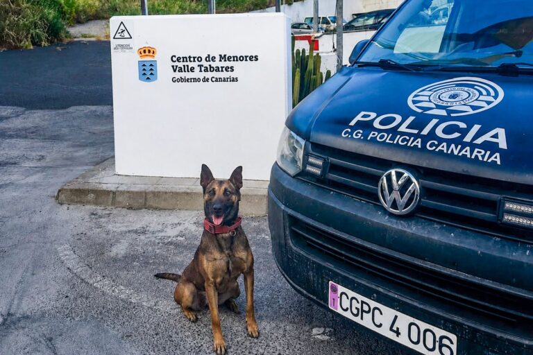 LA POLICÍA AUTONÓMICA DETIENE A UNA MUJER POR INTENTAR INTRODUCIR DROGA EN UN CENTRO DE MENORES DE TENERIFE 4-6-26