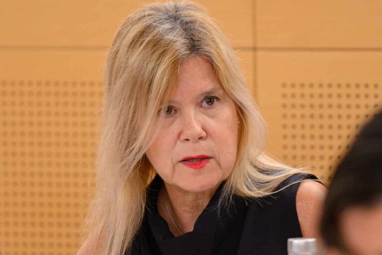 La directora insular de Proyectos Estratégicos del Cabildo de Tenerife, Alicia Leirachá