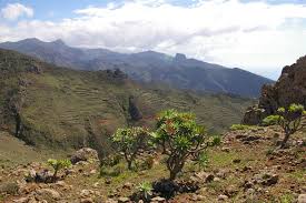 TENO