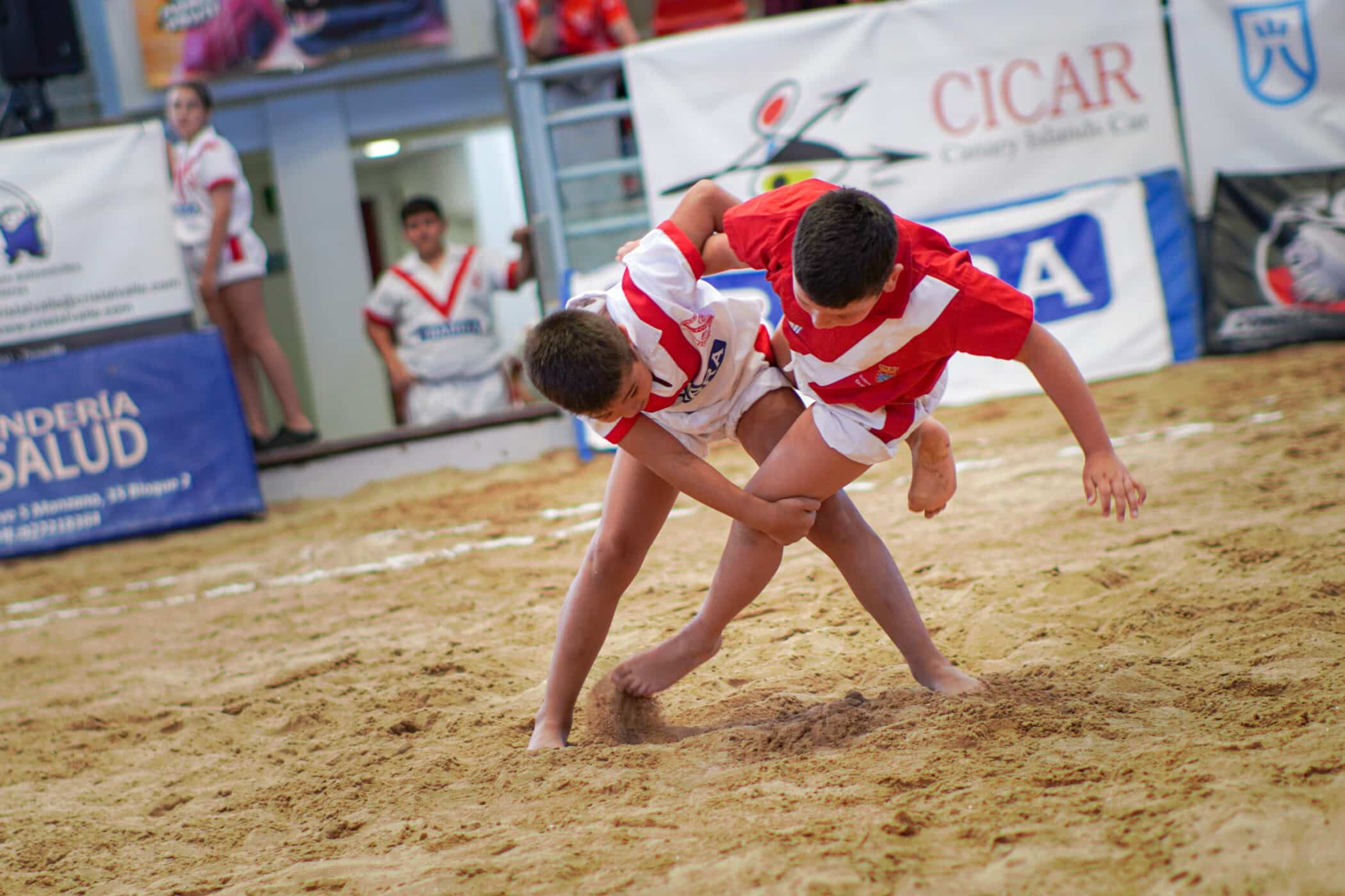 lucha canaria