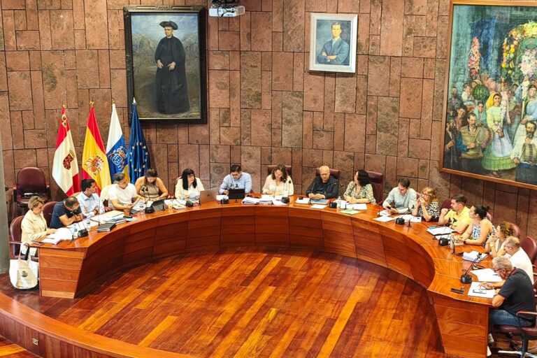 030726-pleno-del-cabildo-de-la-gomerajpg