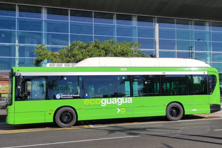 260710 Guaguas en Santa Cruz