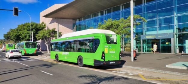 260719 Guaguas Santa Cruz