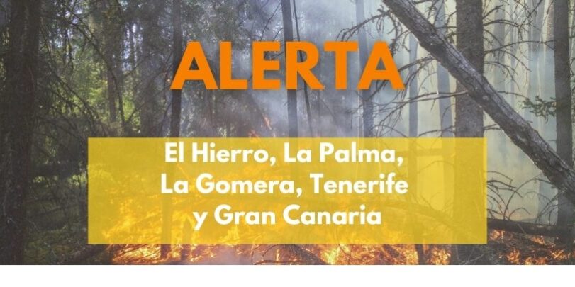 EL GOBIERNO DECLARA LA ALERTA POR RIESGO DE INCENDIOS FORESTALES EN LAS ISLAS OCCIDENTALES Y GRAN CANARIA 29-7-26