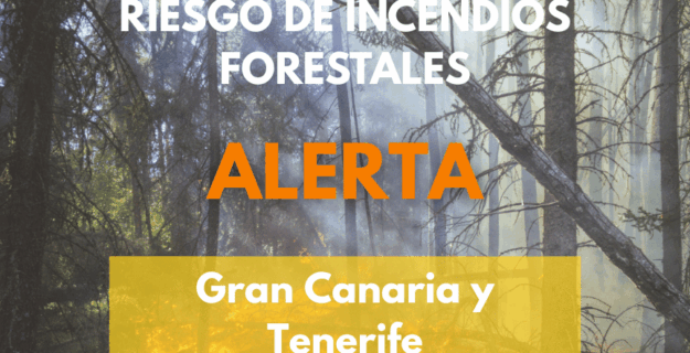 EL GOBIERNO DECLARA LA SITUACIÓN DE ALERTA POR RIESGO DE INCENDIOS FORESTALES EN TENERIFE Y GRAN CANARIA 3-7-26