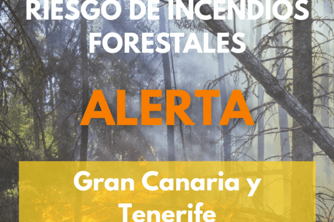 EL GOBIERNO DECLARA LA SITUACIÓN DE ALERTA POR RIESGO DE INCENDIOS FORESTALES EN TENERIFE Y GRAN CANARIA 3-7-26