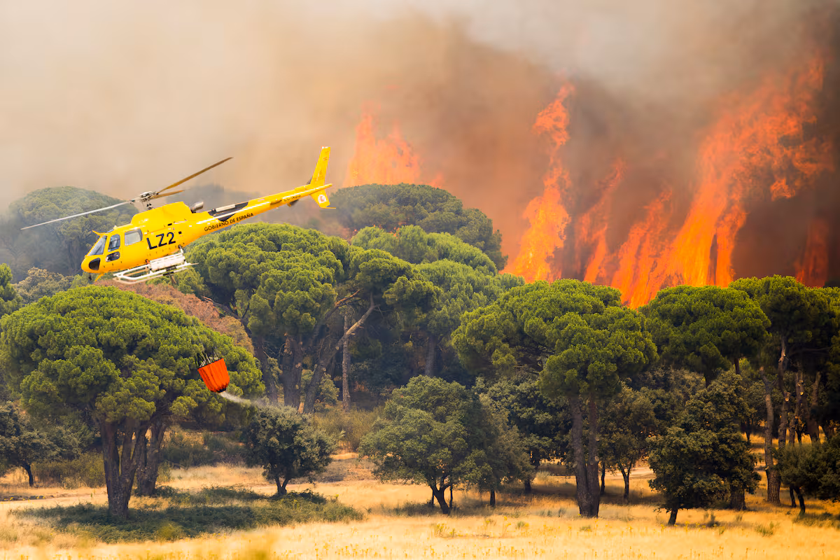 INCENDIO EN AVILA2 26-7-26