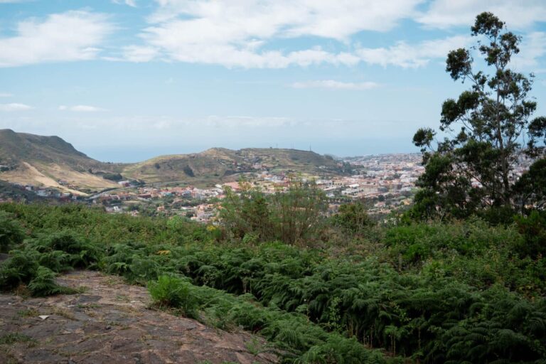La Laguna desde Mesa Mota