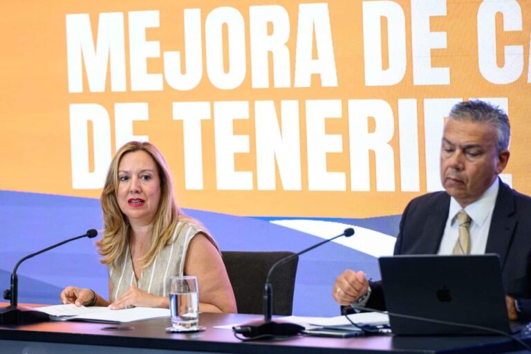 Presidenta del Cabildo y consejero de Carreteras