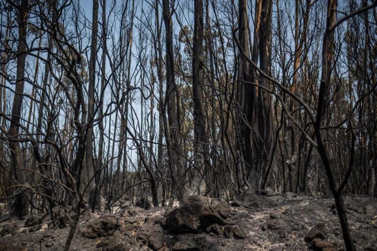 RECOMENDACIONES DE CARA A LOS INCENDIOS 6-7-26