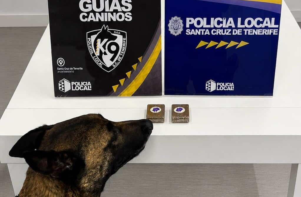 260806 Detección