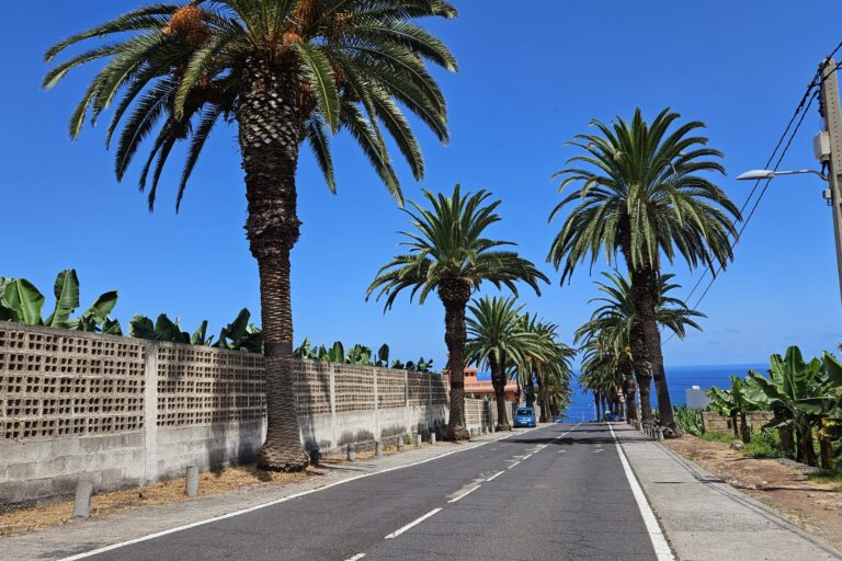 CARRETERA DE EL RINCÓN