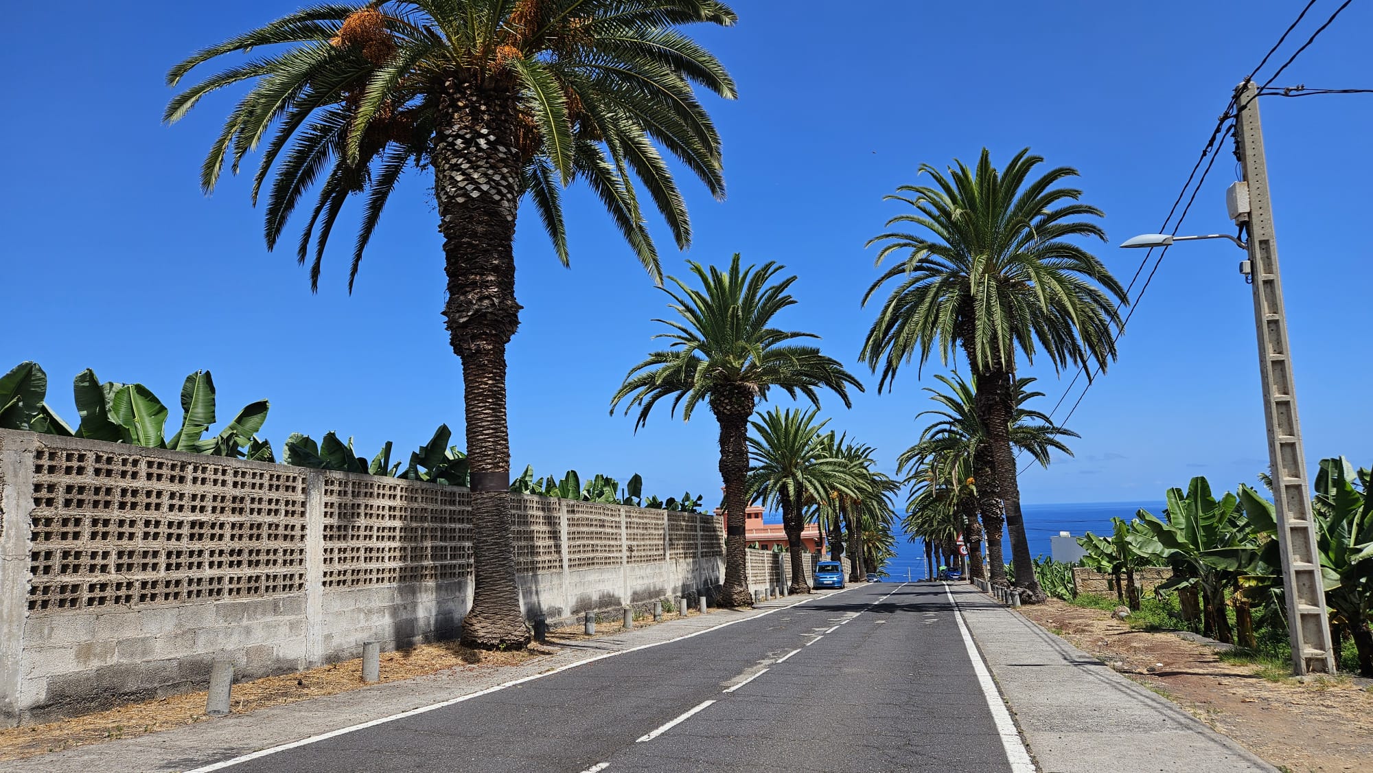 CARRETERA DE EL RINCÓN