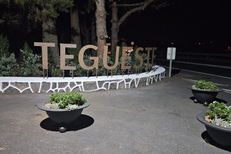 Cartel Tegueste La Gorgolana 2