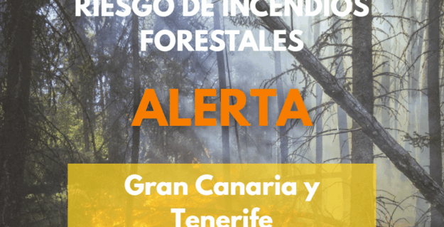 EL GOBIERNO ACTUALIZA LA SITUACIÓN PASANDO A ALERTA POR RIESGO DE INCENDIOS FORESTALES EN GRAN CANARIA Y TENERIFE 12-8-26