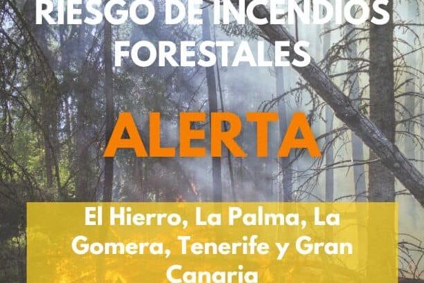 EL GOBIERNO DE CANARIAS ACTUALIZA LA SITUACIÓN POR RIESGO DE INCENDIOS FORESTALES EN LAS ISLAS 8-8-26