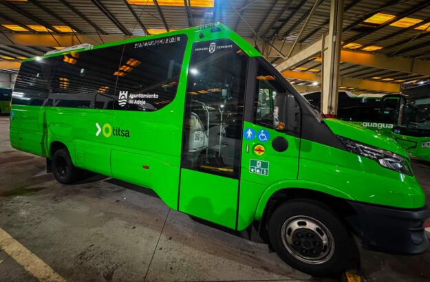 GUAGUA MEDIANIAS