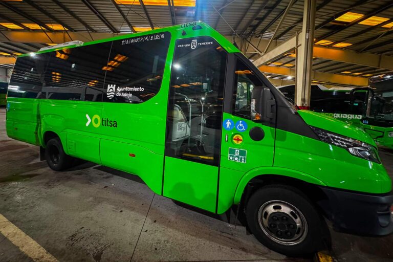 GUAGUA MEDIANIAS