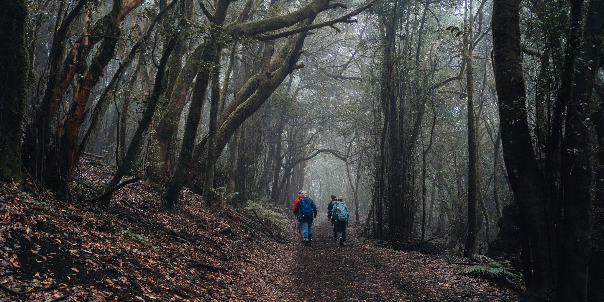 Parque Nacional de Garajonay