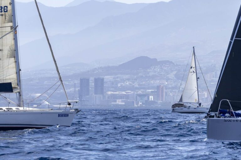 genérica regata 1