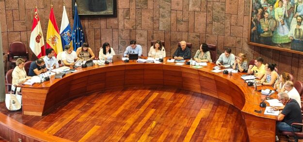 180926-pleno-del-cabildo-de-la-gomerajpg