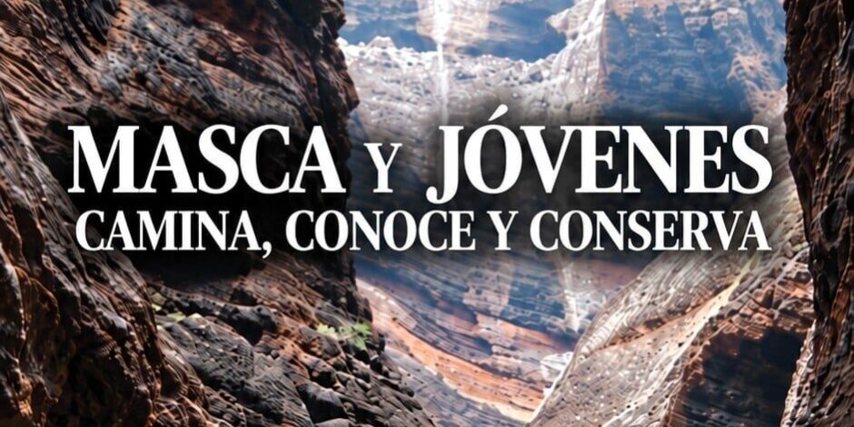 9fbc9cca-f847-4f84-b595-072c925307bf