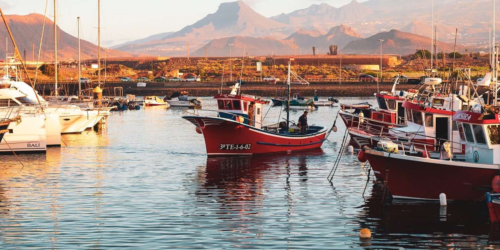 ARONA_PESCA_2026