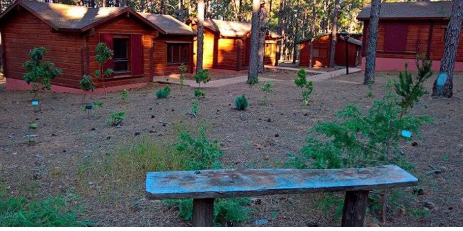 Campamento-La-Esperanza-