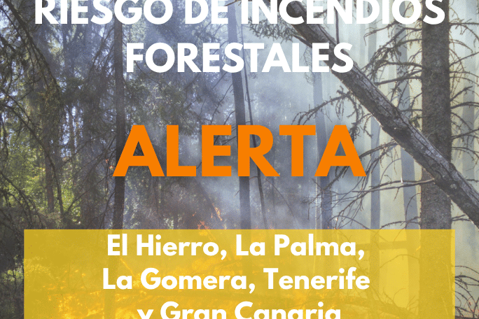 EL GOBIERNO ACTUALIZA LA SITUACIÓN DE ALERTA POR RIESGO DE INCENDIOS FORESTAÑES EN GRAN CANARIA E ISLAS OCCIDENTALES 7-9-26