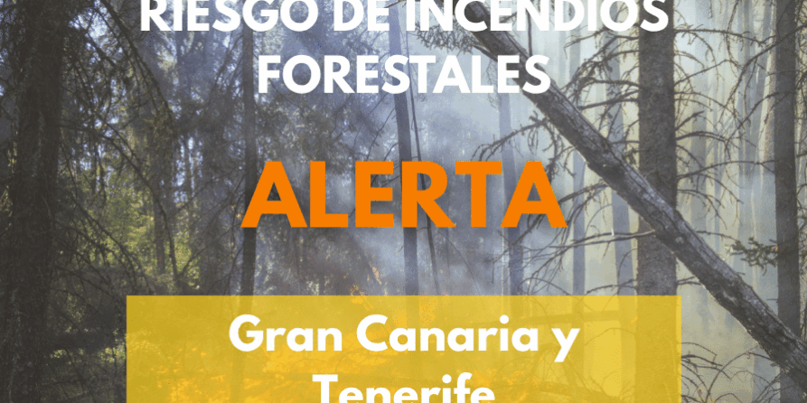 EL GOBIERNO DE CANARIAS DECLARA LA ALERTA POR RIESGO DE INCENDIO FORESTAL EN GRAN CANARIA Y TENERIFE 22-9-26