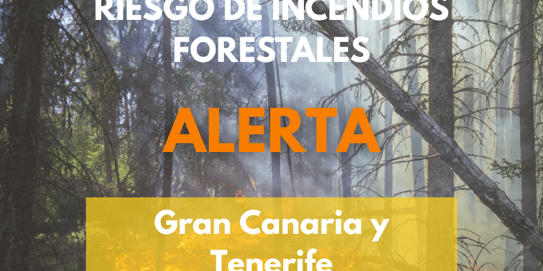EL GOBIERNO DE CANARIAS DECLARA LA SITUACIÓN DE ALERTA POR RIESGO DE INCENDIOS FORESTALES EN GRAN CANARIA Y TENERIFE 4-9-26
