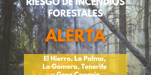 EL GOBIERNO DECLARA LA ALERTA POR RIESGO DE INCENDIOS FORESTALES EN LAS ISLAS OCCIDENTALES Y GRAN CANARIA 14-9-26