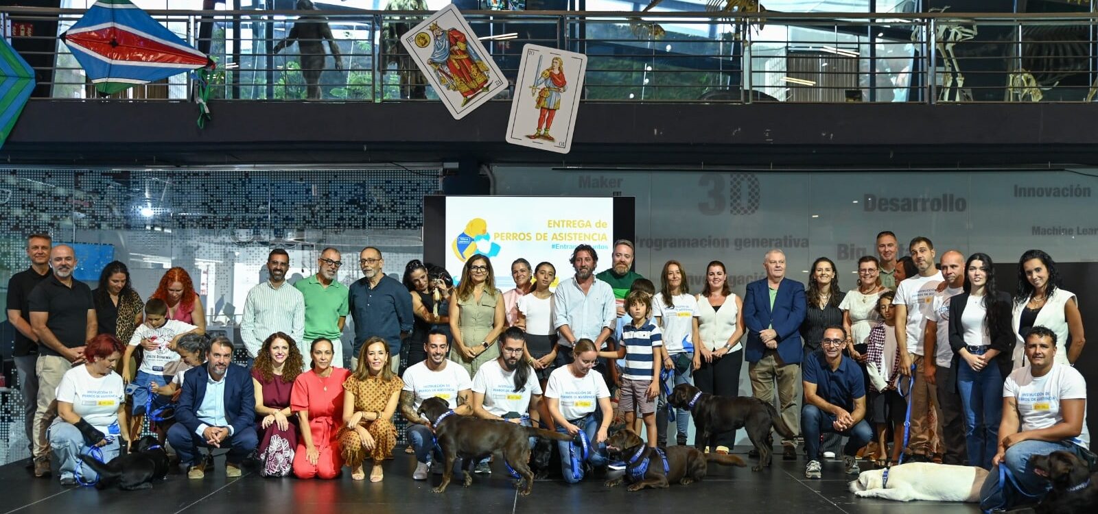 EMPLEO ENTREGA SIETE PERROS DE ASISTENCIA PARA PERSONAS CON DISCAPACIDAD 3-9-26
