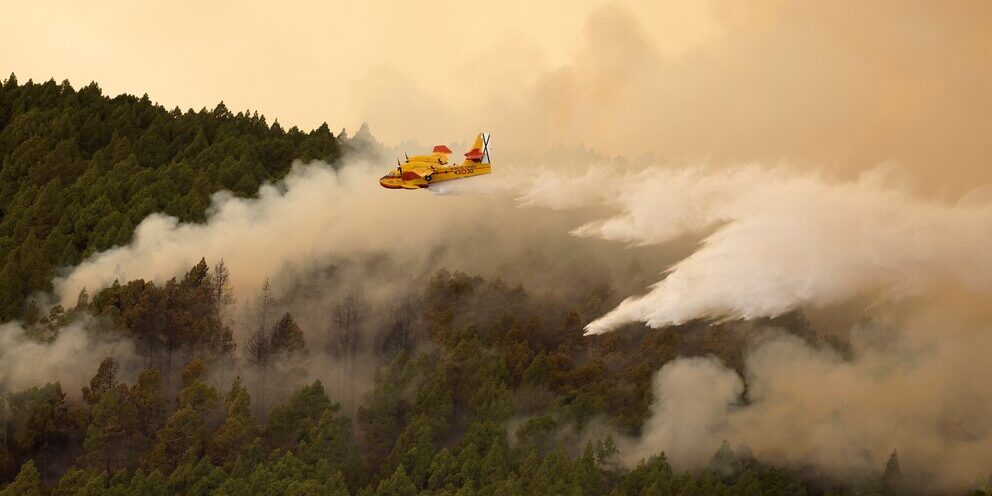 INCENDIOS FORESTALES EN TENERIFE 23-9-26