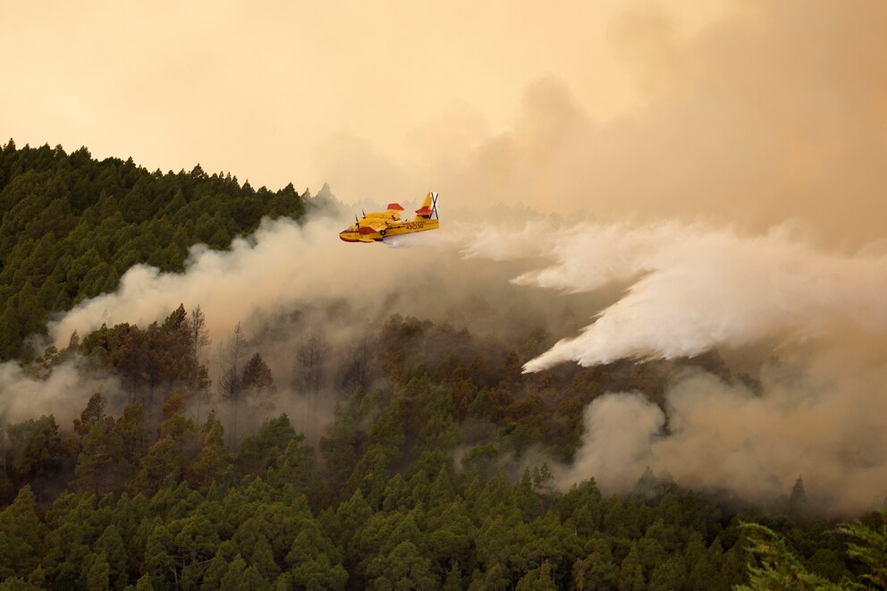 INCENDIOS FORESTALES EN TENERIFE 23-9-26