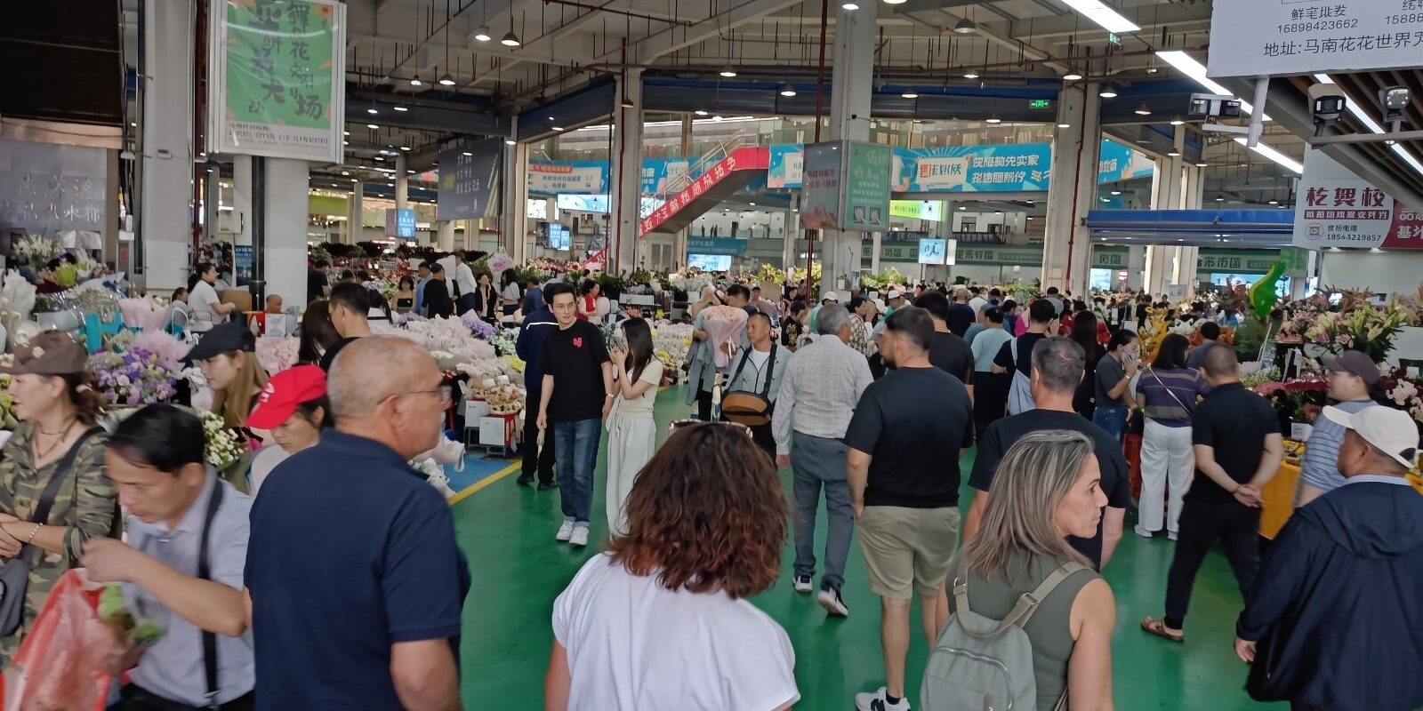 LAS FLORES Y PLANTAS CANARIAS SE PROMOCIONAN EN CHINA 24-9-26