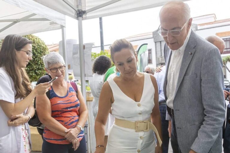 La presdienta del cabildo, Rosa Dávila y el consejero insular, Juan Acsota (1)