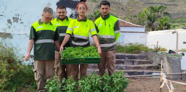 SEGUNDAS OPORTUNIDADES AGRICULTURA 001