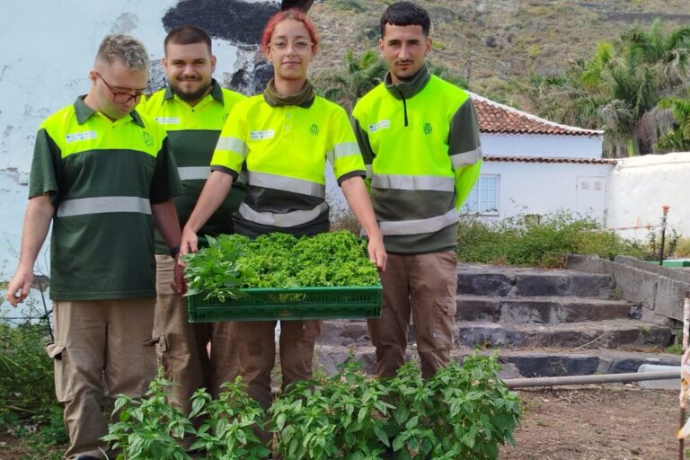 SEGUNDAS OPORTUNIDADES AGRICULTURA 001
