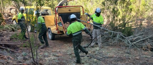 SEGUNDAS OPORTUNIDADES FORESTAL 001