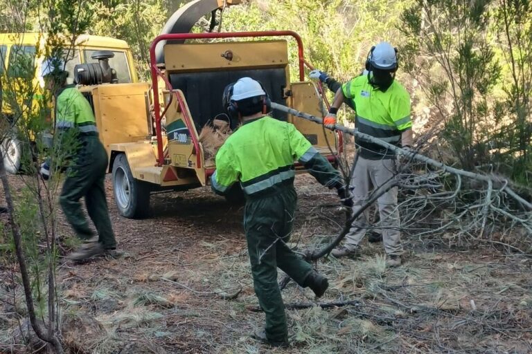 SEGUNDAS OPORTUNIDADES FORESTAL 001