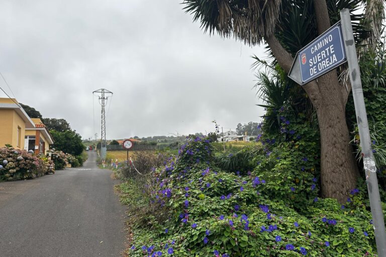 camino SUERTE DE OREJA TACORONTE