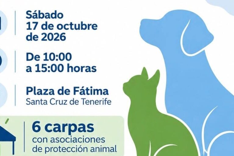 261016 Evento Solidario Animales